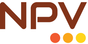NPV & Associates LLP